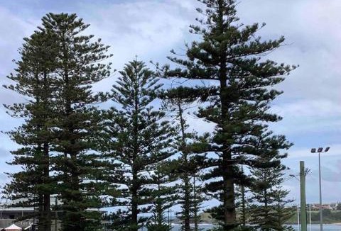 Kiama Apartment | Seabreeze Luxury Apartment Kiama