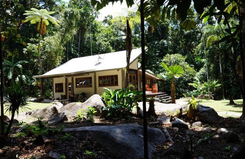 Diwan House | Secluded home hidden in an ancient and enchanted forest with crystal clear creek