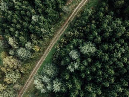 Hiawatha House | Secluded Off-Grid Cabin Deep in Nature - Hiawatha - Saro