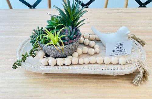 Wagga Wagga Apartment | Sophisticated City Retreat with All the Comforts