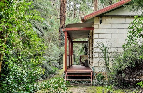 Mount Dandenong Cabin | Spa Cottage: Private rainforest with river