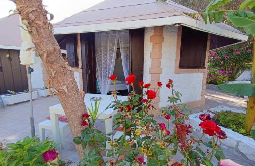 Minia Apartment | Spasmata Village - Marios Bungalows Only Adults 2 min From The Beach