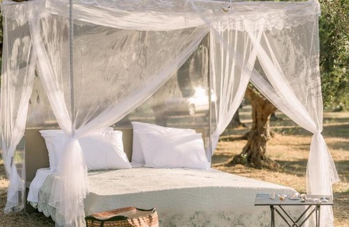 Ilida Other | Star Sleep Elis Land Estate - Vasiliki