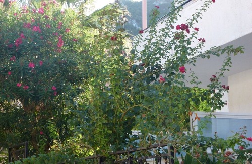 Benitses Apartment | Studio "Galini Studios 5" Near the Beach with Wi-Fi, A/C & Balcony