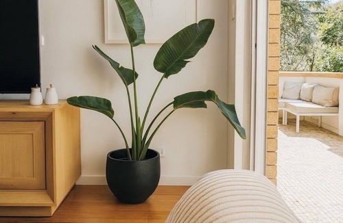 Bondi Apartment | Stylish & perfectly located Bondi Beach hideaway