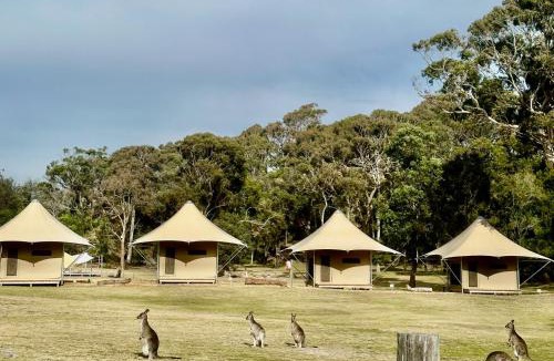 Tathra Other | Tathra Beach Eco Camp
