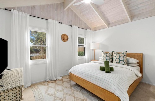 Ocean Grove House | Tawny frog mouth in the trees