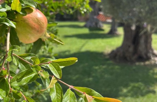 Makri House | TERRY'S VILLA