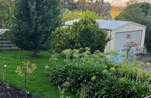 Forrest Cottage | The Bay Rose:nCharming Otways Holiday Cottage:nIdyllic and Peaceful Surrounds nn