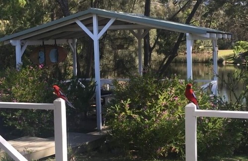 Lake Conjola House | The Boardwalk - tranquil setting by the water