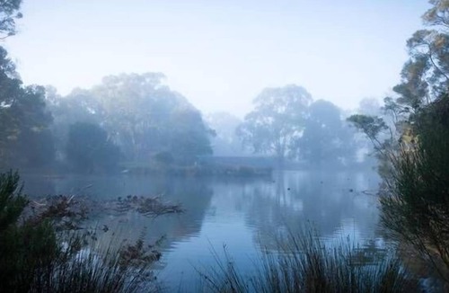 Dixons Creek Bed & Breakfast | The Burrow at Wombat Bend B&B