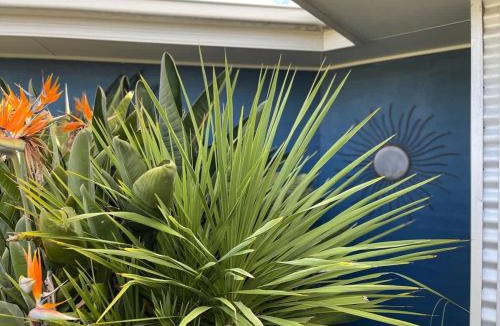 Lake Conjola House | The Coastal Haven