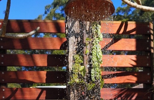 Repton Villa | The Escape Studio - On the edge of the Rainforest and minutes from the beach!