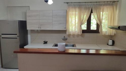 Agios Minas Apartment | The Garden in AGIA VASSA