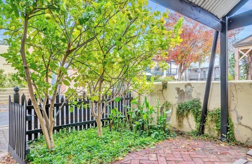 North Adelaide House | The Lemon Tree Charming Cottage in North Adelaide