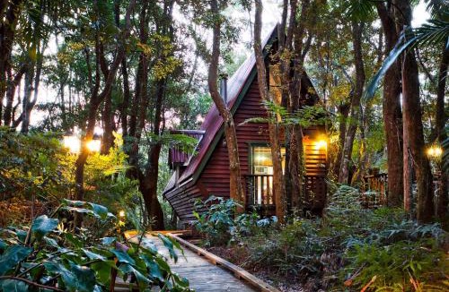 Springbrook Cabin | The Mouses House Rainforest Retreat