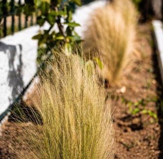 Oropos House | The Olive Yard Retreat, mountain and sea view!