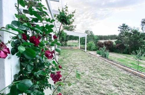 Bywong House | The Pine Tree Cottage - Charming cottage close to Canberra