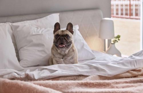 Chinatown Hotel | The Ultimo