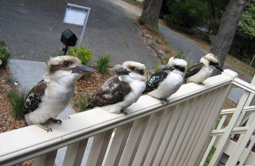 Lorne Cottage | Time to wind down, hear the birds, the Sea. New EV Charger.nDouble Spa Bath.