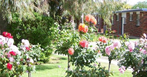 Tocumwal Hotel | Tocumwal All Seasons Motel