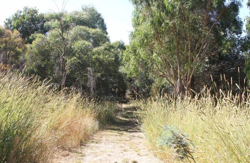 Shadforth House | Topsys Corner - large rural house near Orange