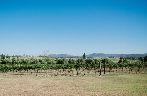 Luskintyre House | Tranquil Vale Vineyard
