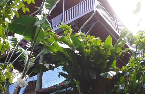 Bingil Bay House | 'TreeTops By The Sea': Your Family Holiday Escape!