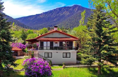 Vlacherna Villa | Villa Arcadia