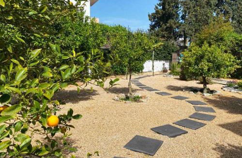 Archangelos Villa | Villa Dalia