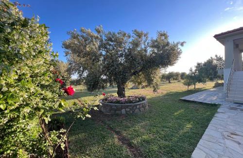Gerakini Villa | Villa Giannoula
