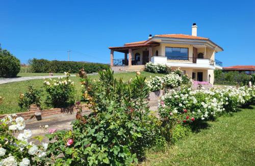 Alexandroupoli Villa | Villa Harry's