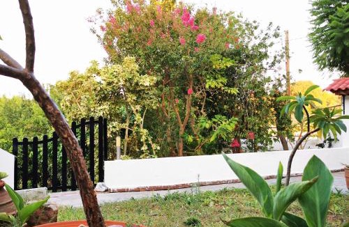 Tingaki House | Villa Irene
