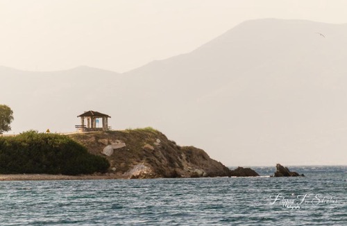 Marathon House | Villa Petalo OFFERS for JULY & AUGUST!!!