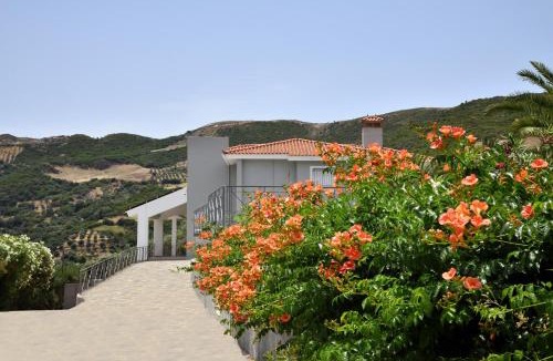 Dhris Villa | Villa Raks