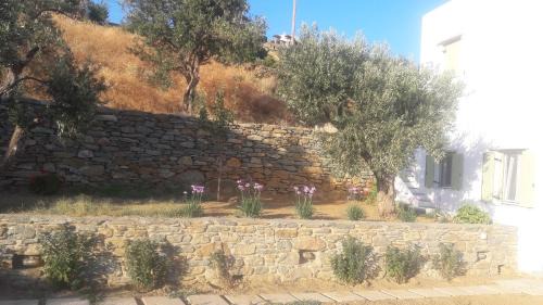 Agios Romanos Apartment | Vrahos Agios Romanos