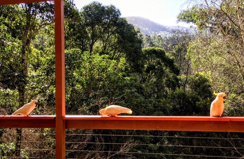 Warburton House | Warburton Bingarra Lodge with a View