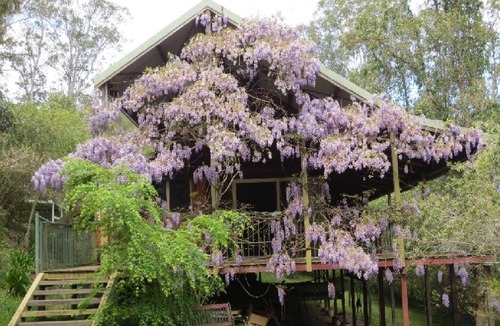 Bindera House | Water Gums Retreat, Barrington River, Barrington Tops area, perfect for groups