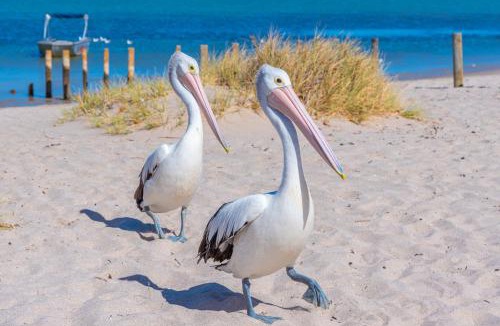 Kalbarri Apartment | Waterfront Unit 4 - Kalbarri WA
