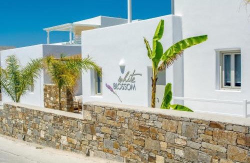 Parikia Hotel | White Blossom