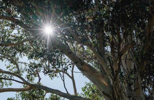 Mount View House | Yarramie