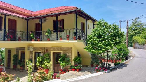 Λευκή Καμέλια in Anilio Pelion