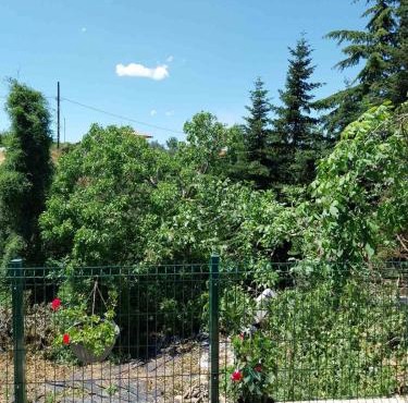 Πραβιτάδικο in Arnaia