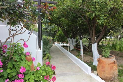 Aaron Apartments in Ferma