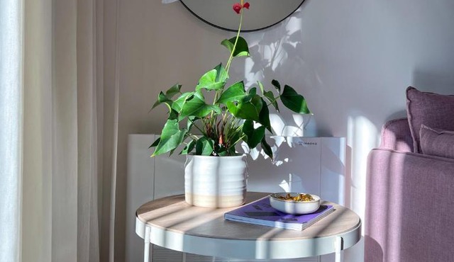 Aillo Living Spaces in Ioannina