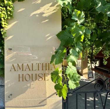 Amalthia House in Samos