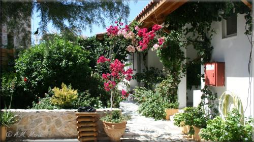 Ampelos apartment and studios in Sitia