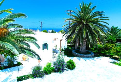 ANCIENT MEROPIA - Eden in Apollonia