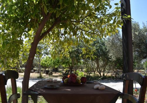 Anemos - Holiday Beach Houses in Keratokampos