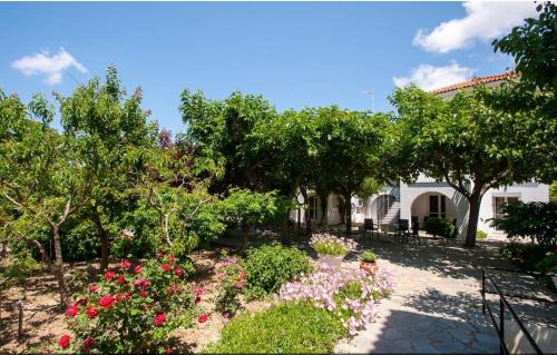 Anesis Studios & Apartments Plati Beach, Lemnos